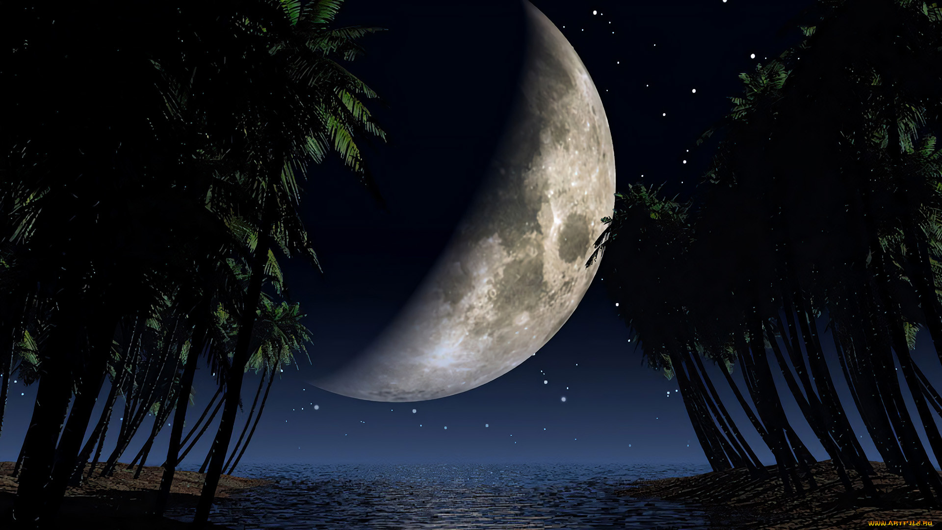 3 ,  , nature, 
